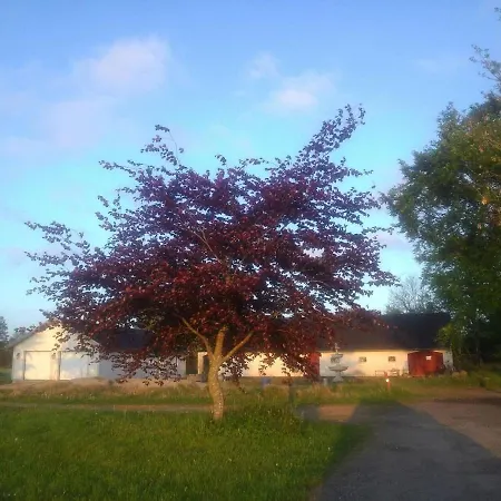 Lavendelbo Hjallerup